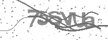 visual captcha